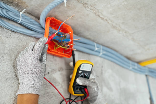 Best Electrician for Home Renovation  in Woodlawn, MD